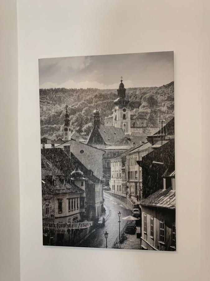 Apartman Pri Lyceu Banská Štiavnica Екстериор снимка